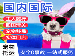 大庆机场快递国际宠物托运 【国